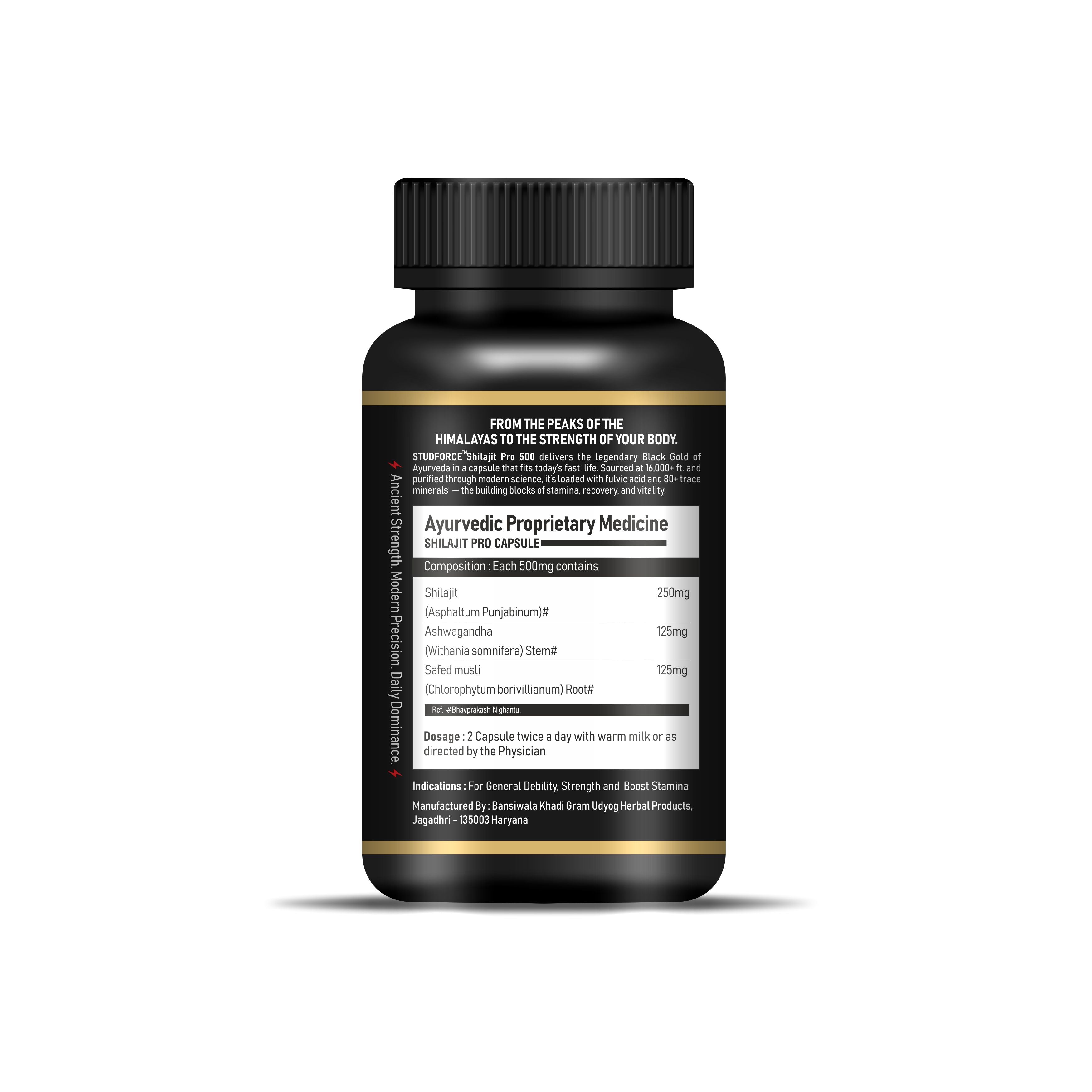 SHILAJIT PRO 500 CAPSULES